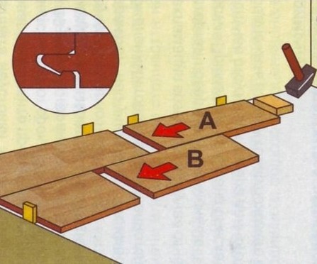 8HoBBljYKE8.jpg